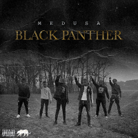 Black Panther (Single)