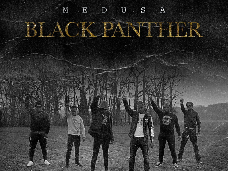 Black Panther (Single)