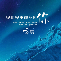 见山见水却不见你 (DJ彭锐版) (Single)