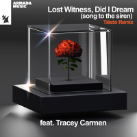 Did I Dream (Song To The Siren) (Tiësto Remix) (Single)