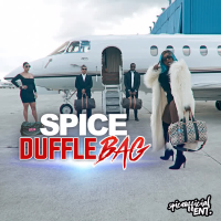 Duffle Bag (Single)