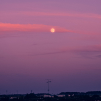 In My Dreams (Single)