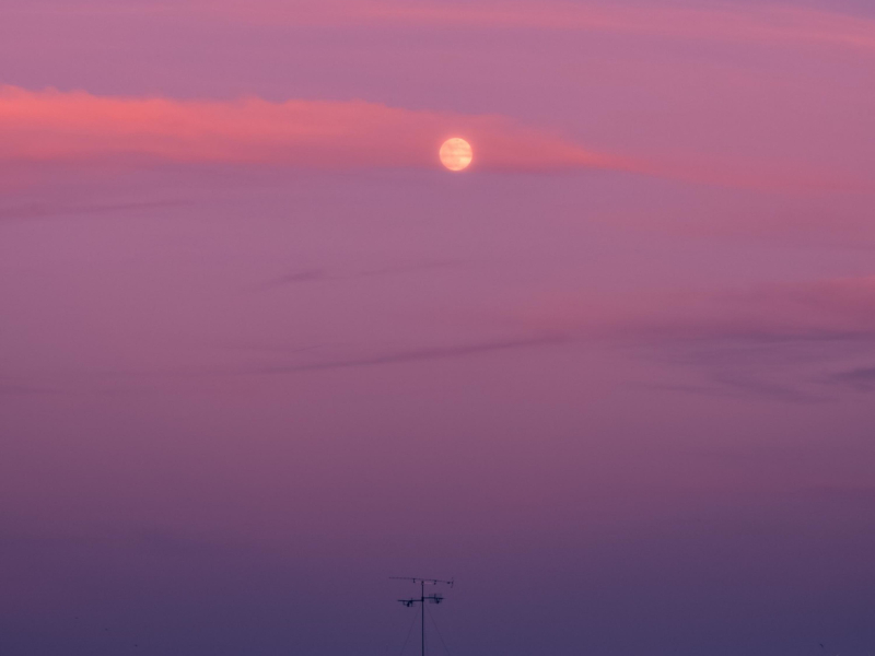 In My Dreams (Single)