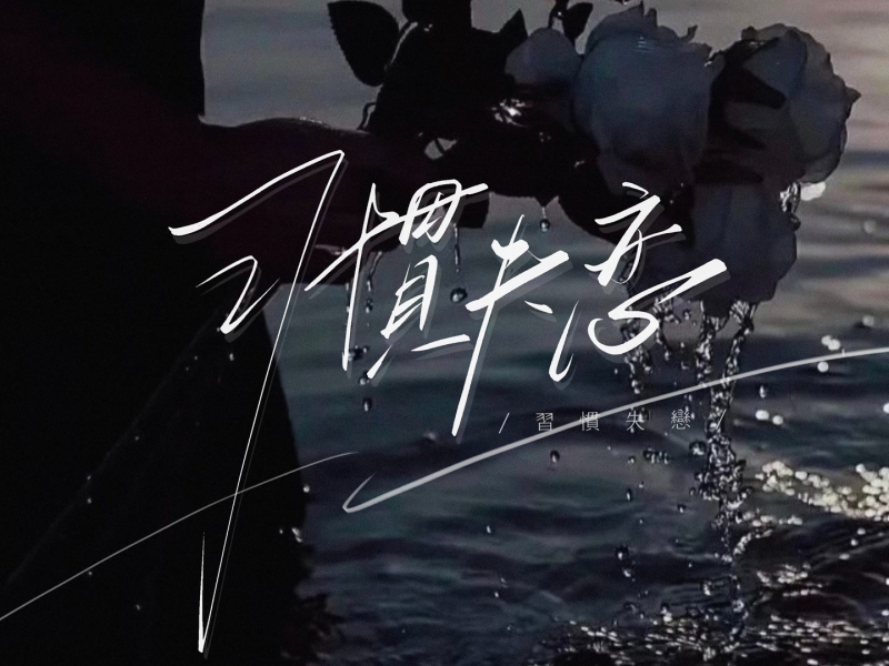 习惯失恋 (Dj豪大大版) (Single)