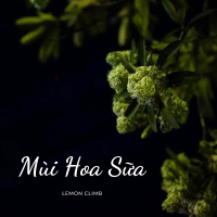 Mùi Hoa Sữa (Single)