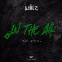 In the Air (Single)