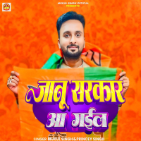 Janu Sarkar Aa Gail (Single)