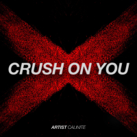 Crush On You (Radio Edit) (Single)