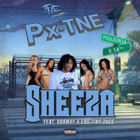 Sheeza (feat. Gormay & EBS Tiny 2uce) (Single)