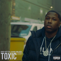Toxic (feat. Shawny Binladen) (Single)