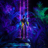 Disturbance (Single)