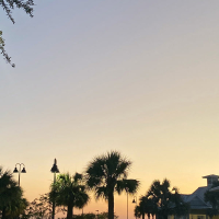 Irregularities (Single)