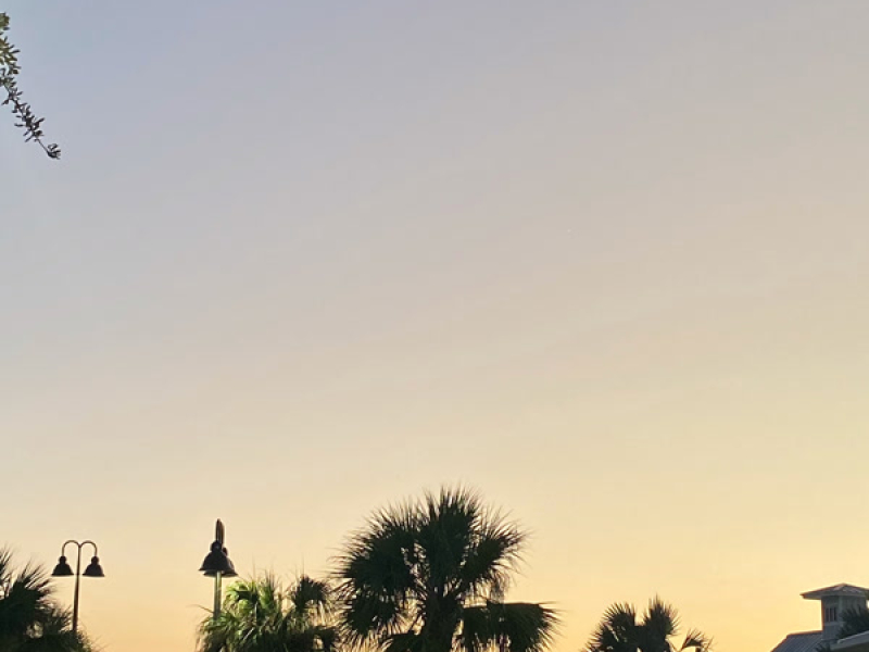 Irregularities (Single)