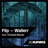 Wallerr (EP)