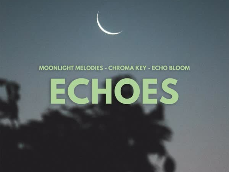Echoes