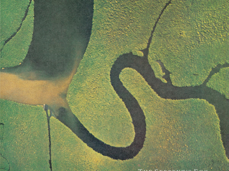 The Serpent's Egg (Remastered)