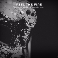 Feel The Fire (Single)