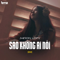 Sao Không Ai Nói (Hiron Lofi) (Single)