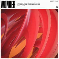Wonder (Single)
