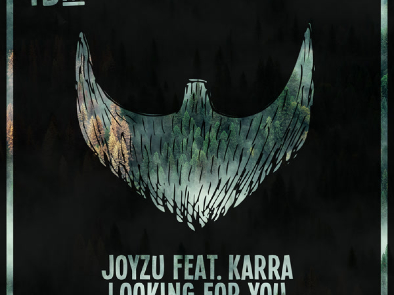 Looking For You (Single)