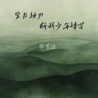 岁月抽刀断我少年锋芒 (Single)