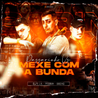 Passarinho Vs Mexe Com a Bunda (Remix) (Single)