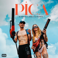 PICA (Single)