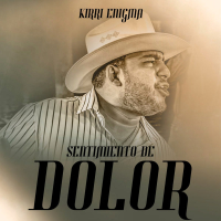 Sentimiento de Dolor (Single)