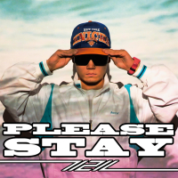 Please Stay (Single)