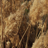 Empathetic Prosperity (Single)