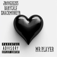 Mr. Player (Single)