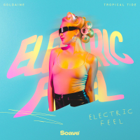Electric Feel (Single)