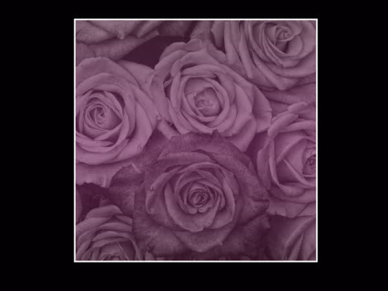 Kane and Abel (Single)