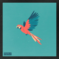 Parrot Squawks (Single)