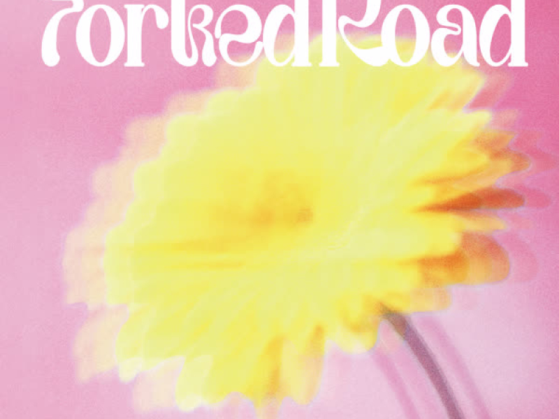 Forked Road (Single)