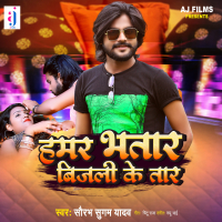 Hamar Bhatar Bijali Ke Tar (Single)