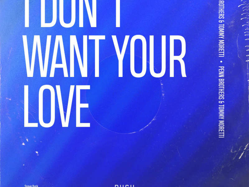 I Don't Want Your Love (Single)