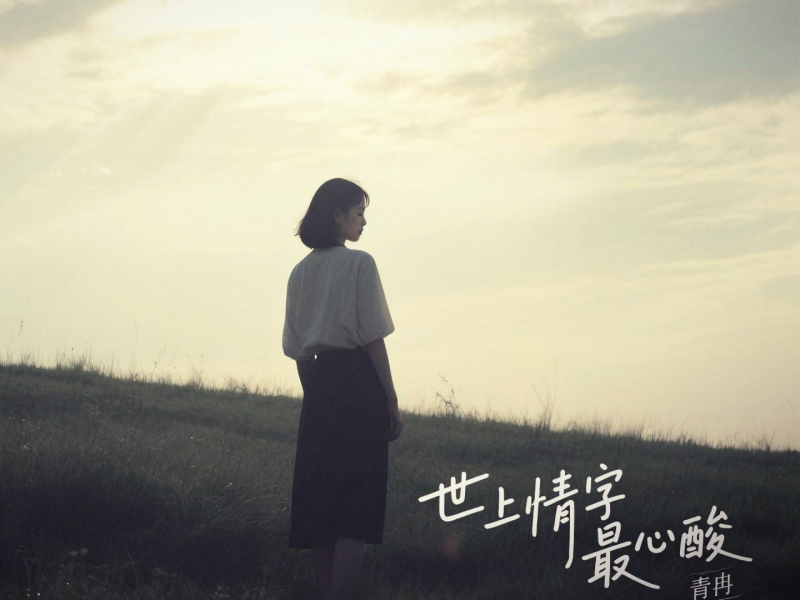 世上情字最心酸 (Single)