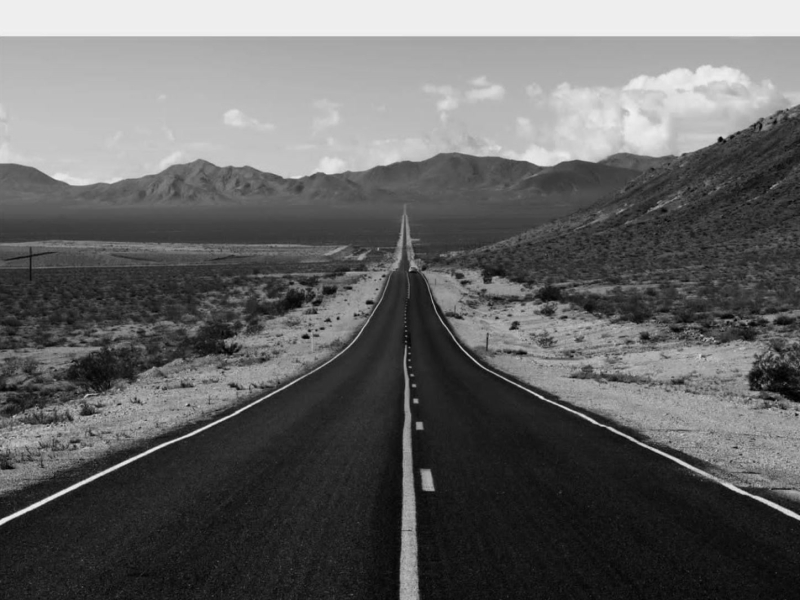 Desert Forest (Single)