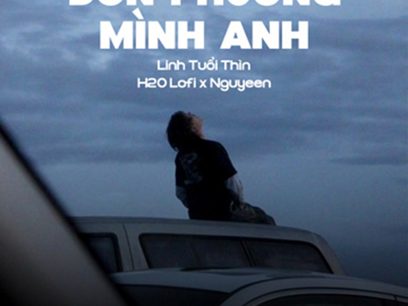 Đơn Phương Mình Anh (Lofi) (Single)