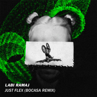 Just Flex (Bocasa Remix) (Single)