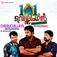 Cheruchillayil (Instrumental) (Single)