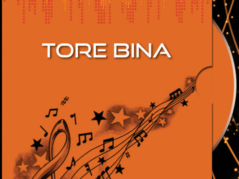 Tore Bina