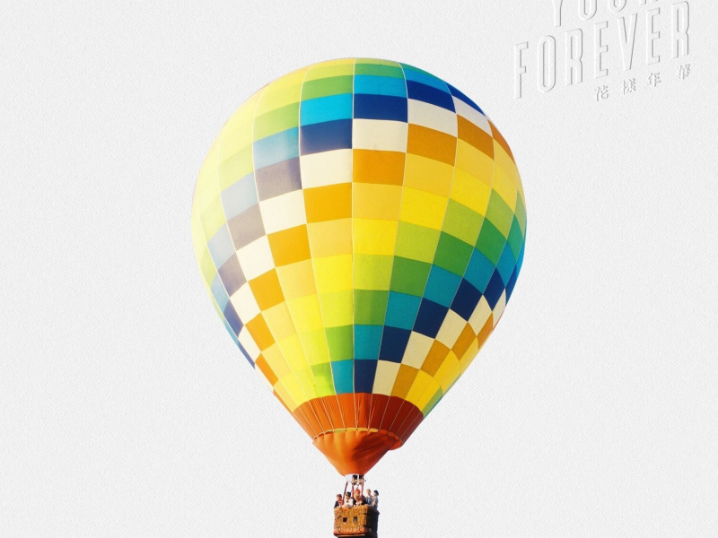 The Most Beautiful Moment in Life: Young Forever