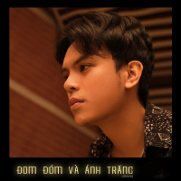 Đom Đóm Và Ánh Trăng (Remix) (Single)