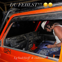 DU FEHLST!!! (Single)