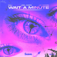 Wait A Minute (Single)