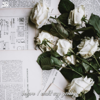 Before I Could Say Goodbye (Single)