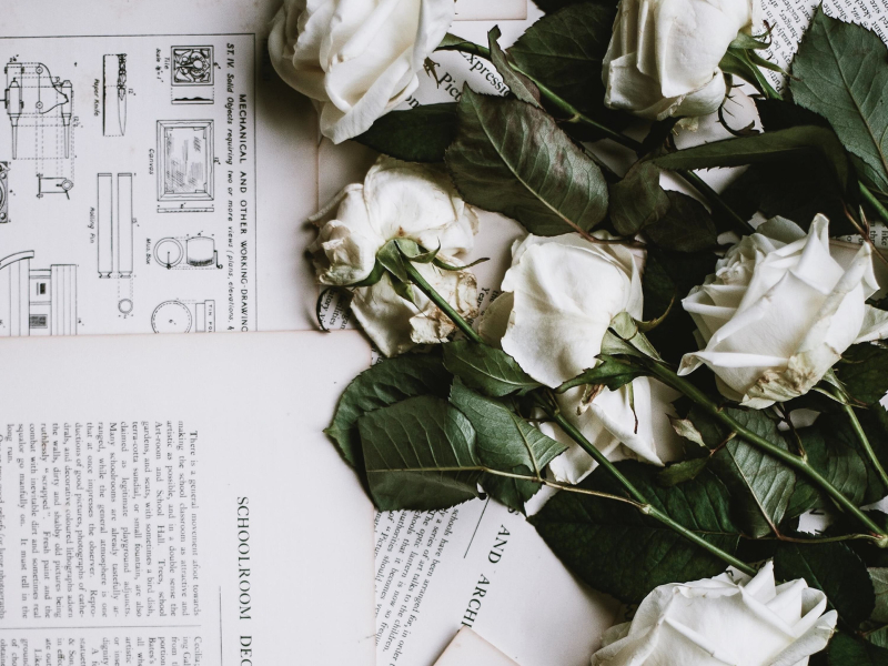 Before I Could Say Goodbye (Single)