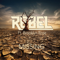 Missing (feat. Brooklyn Rose) (Single)